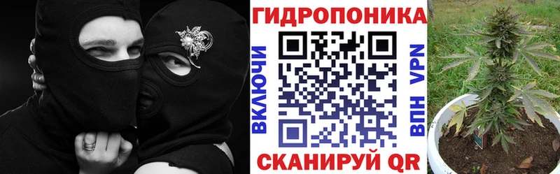 Бошки Шишки SATIVA & INDICA  Бердск 